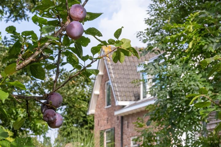 Bekijk foto 4 van Eilandseweg 9