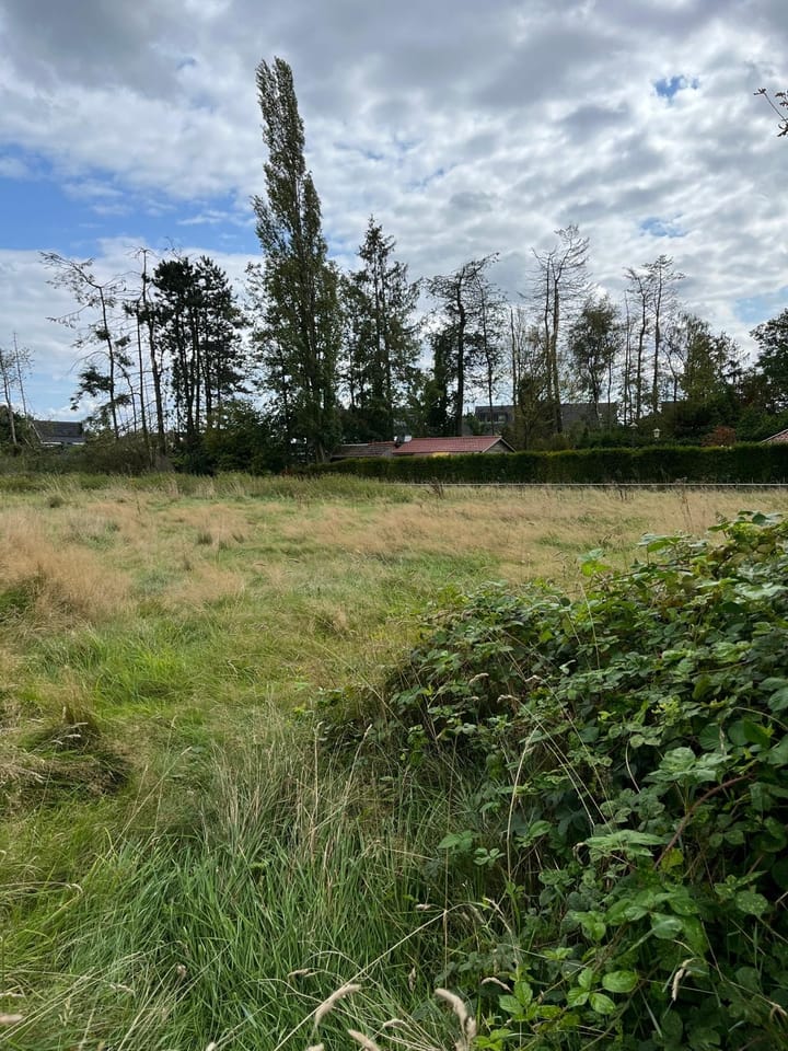 Foto 2 van Langereijt