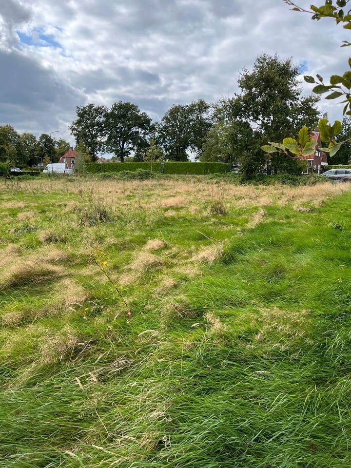 Foto 4 van Langereijt