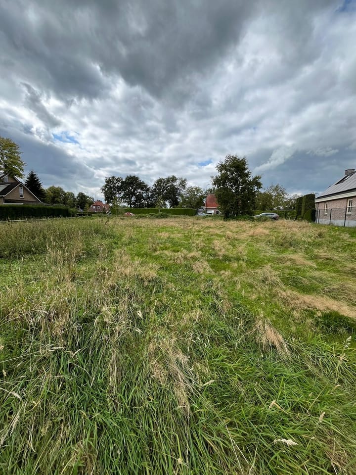 Foto 6 van Langereijt