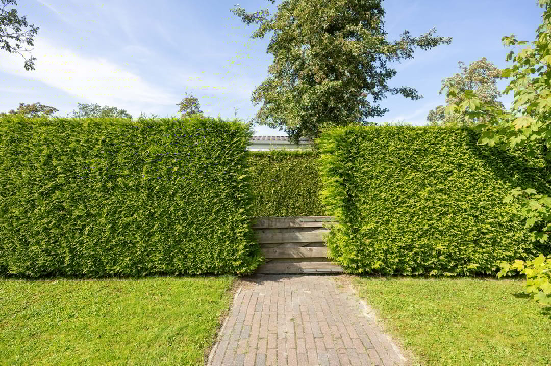 Photo 28 of Vogels' tún 35