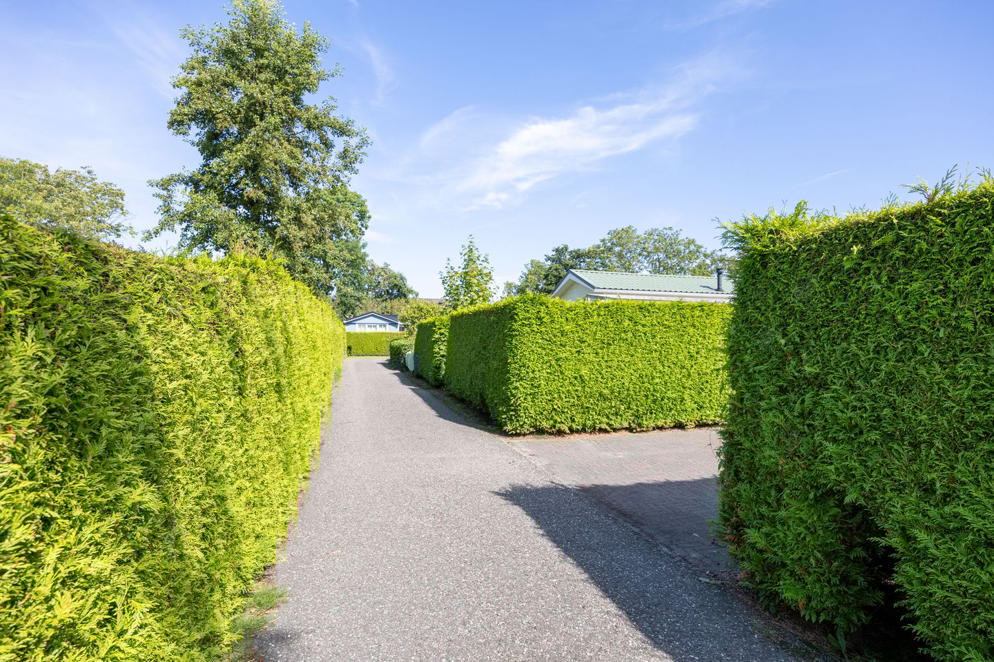 Photo 29 of Vogels' tún 35