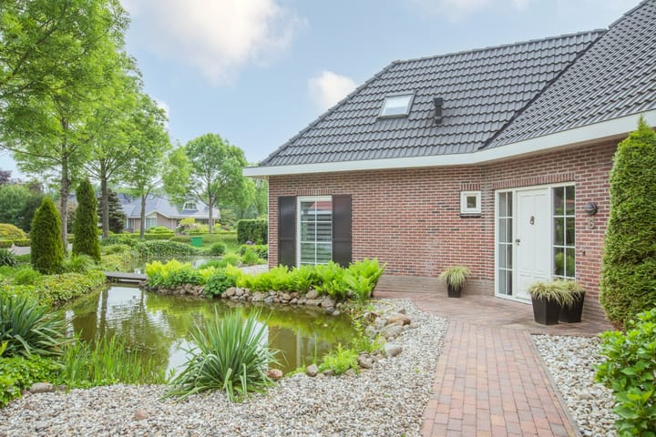 Foto 7 van De Runde 6