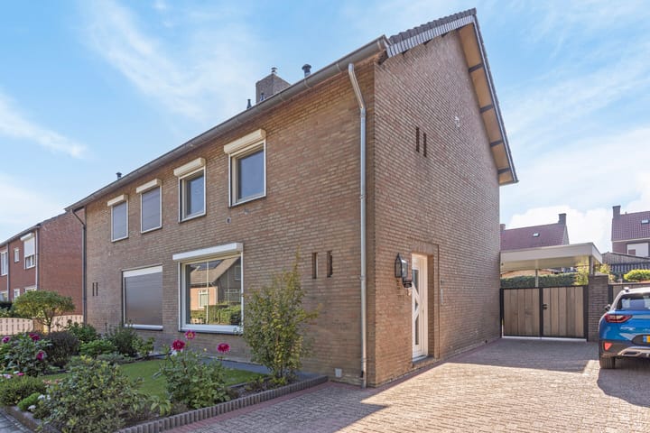 undefined main image