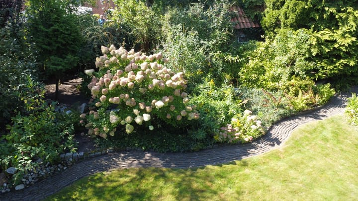 Foto 48 van Raadhuisstraat 7