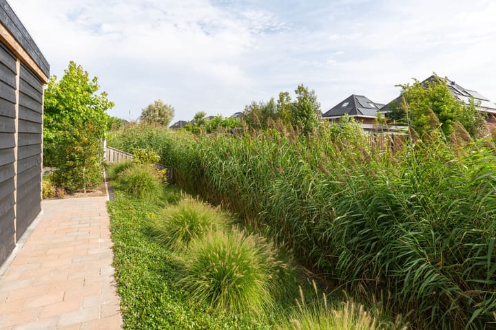 Foto 28 van Albatroslaan 16