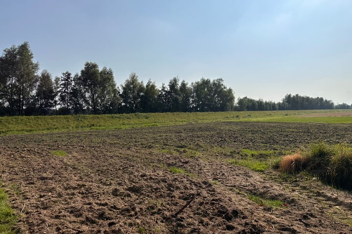 Foto 2 van Brinkweg