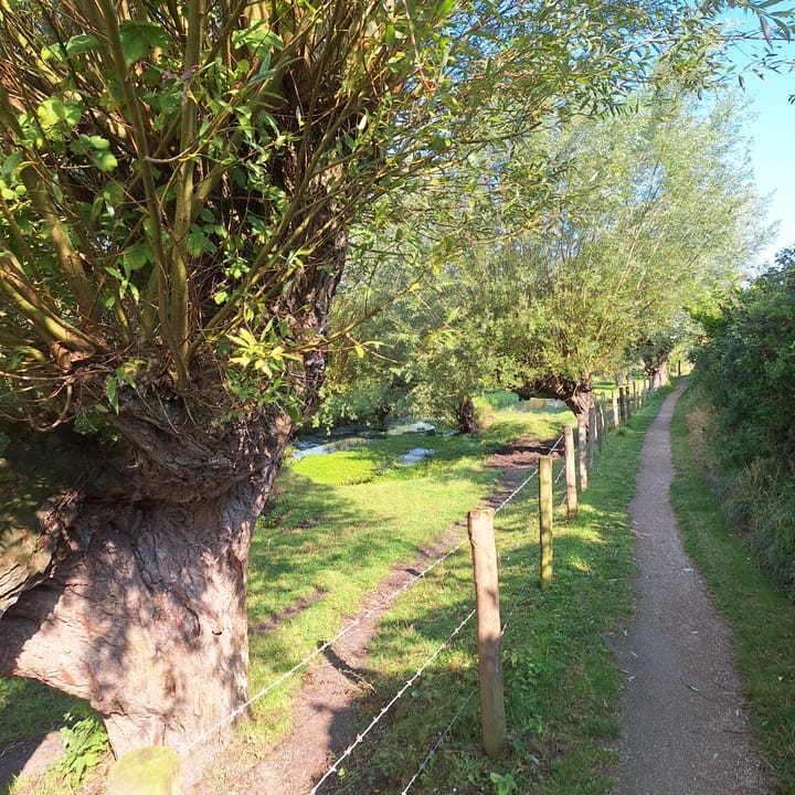 Photo 33 of Dorpsstraat 41