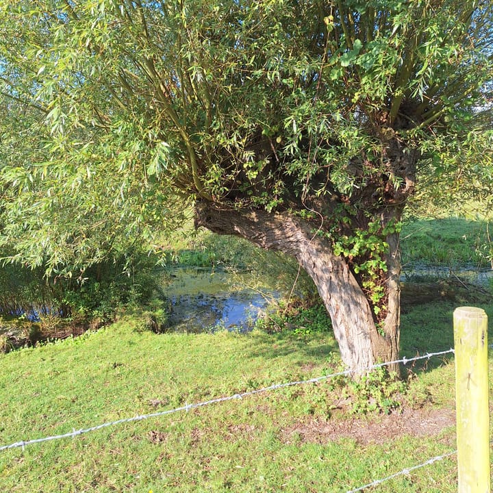 Photo 34 of Dorpsstraat 41