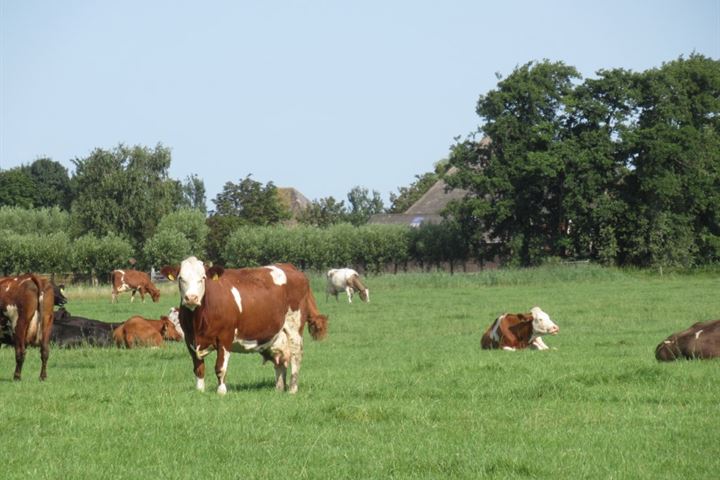 Bekijk foto 19 van Veldhuizerweg 3