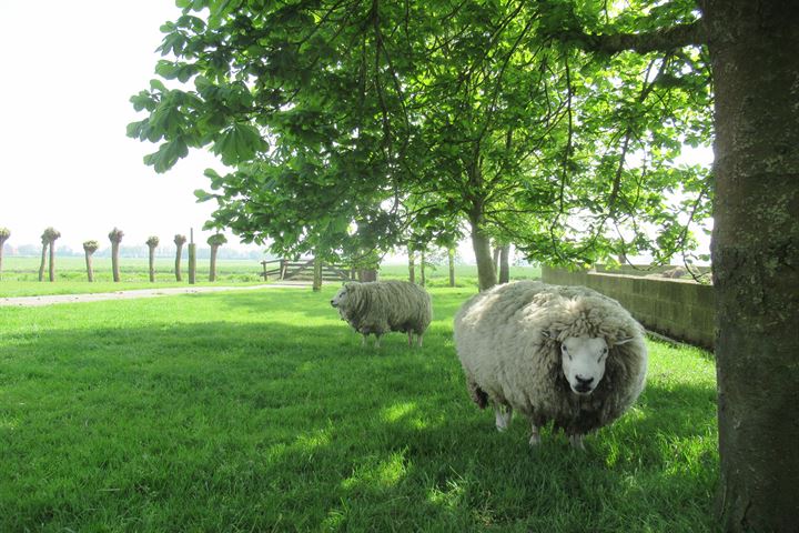 Bekijk foto 25 van Veldhuizerweg 3