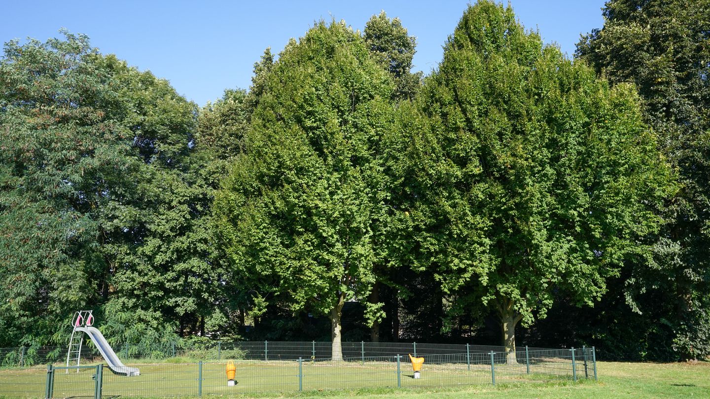 Foto 55 van Charles Beltjenslaan 2