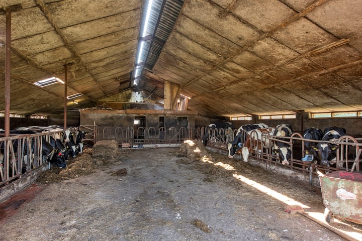 Foto 45 van Vermolenweg 49