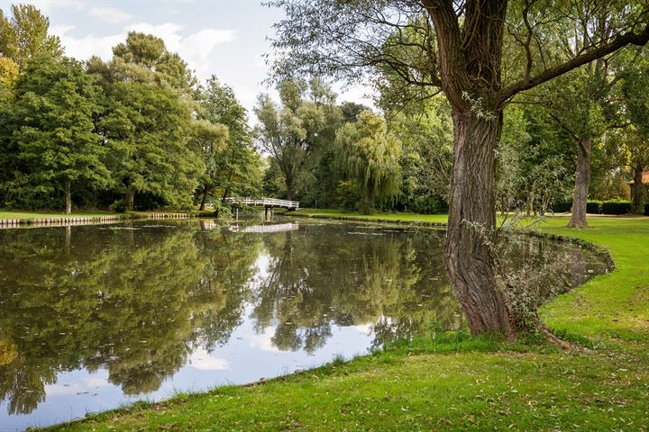 Bekijk foto 31 van Queridostraat 19-III