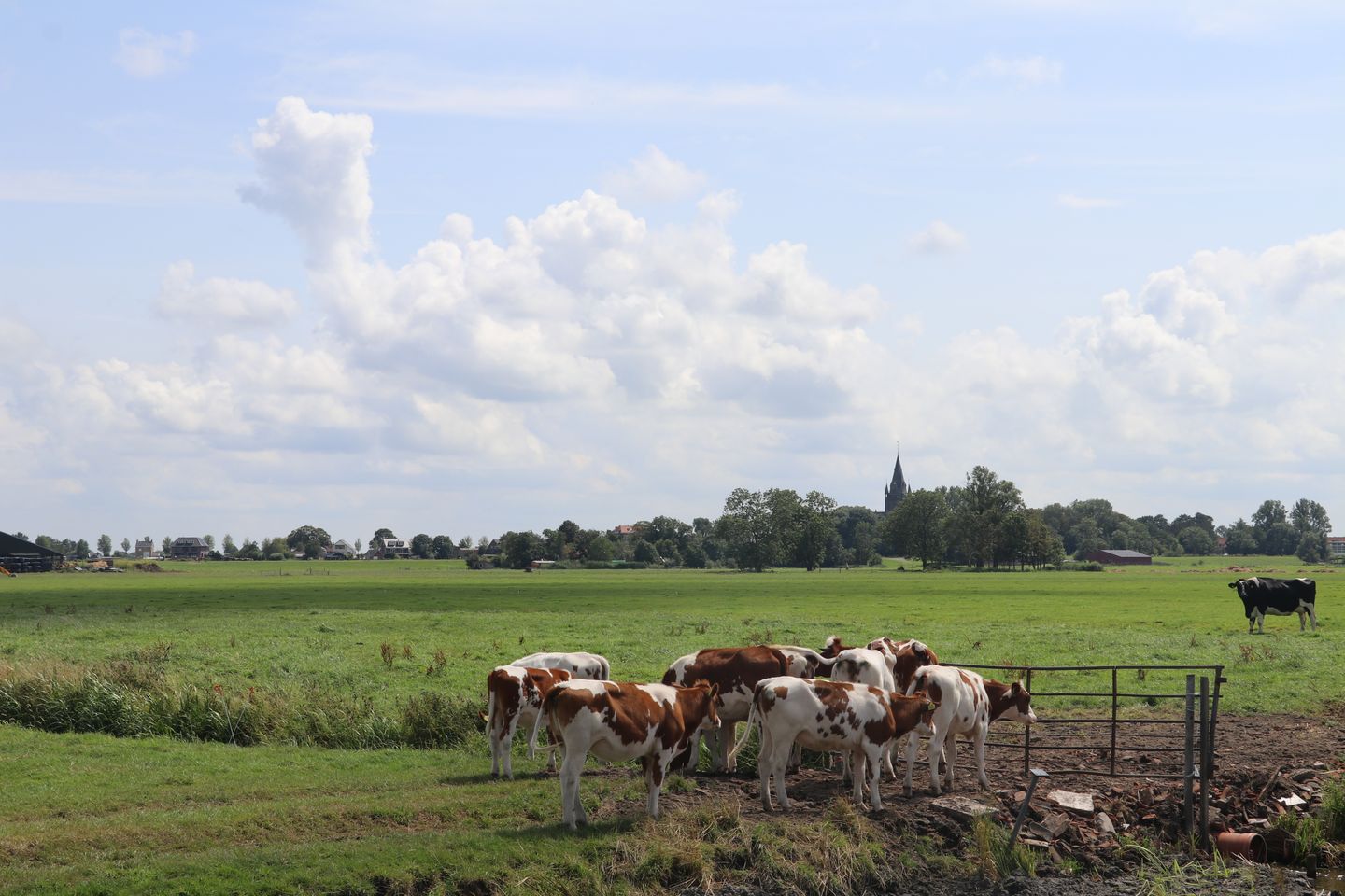 Foto 4 van Ringdijk BP 12