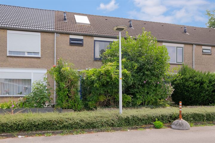 Bekijk foto van Arthur van Schendelstraat 11