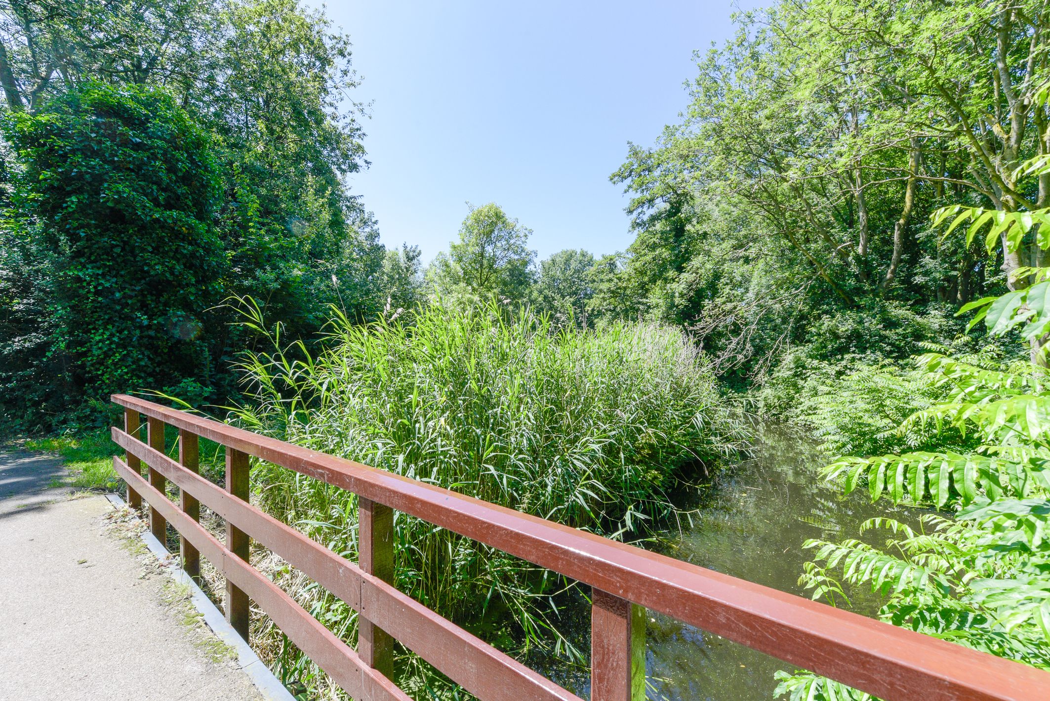 Foto 42 van Dr. J. Presserstraat 255