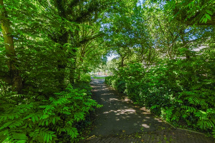 Foto 43 van Dr. J. Presserstraat 255