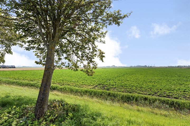 Bekijk foto 43 van Oudebildtdijk 1210