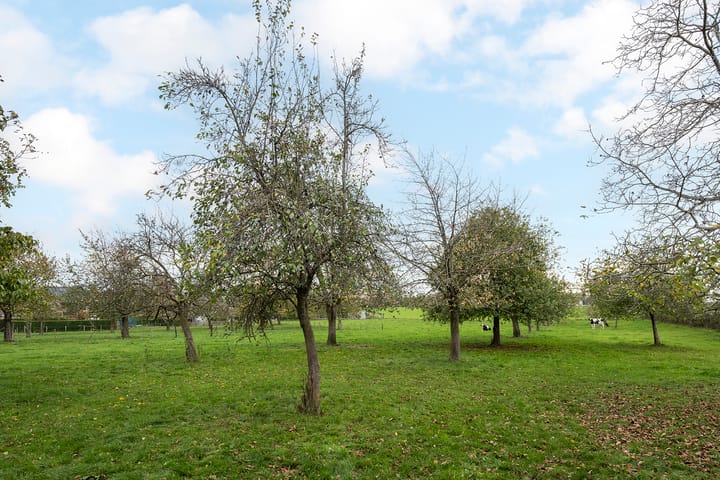 Foto 61 van Brede Hoolstraat 2