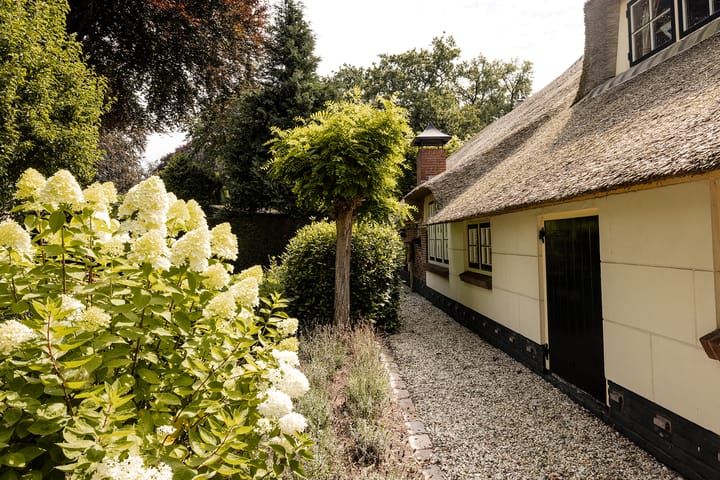 Photo 46 of Nieuw-Loosdrechtsedijk 56