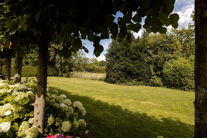 Photo 61 of Nieuw-Loosdrechtsedijk 56