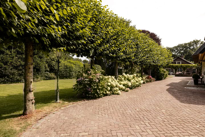 Photo 64 of Nieuw-Loosdrechtsedijk 56