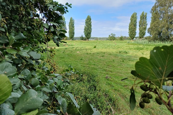 Bekijk foto 3 van Kortenoord 102