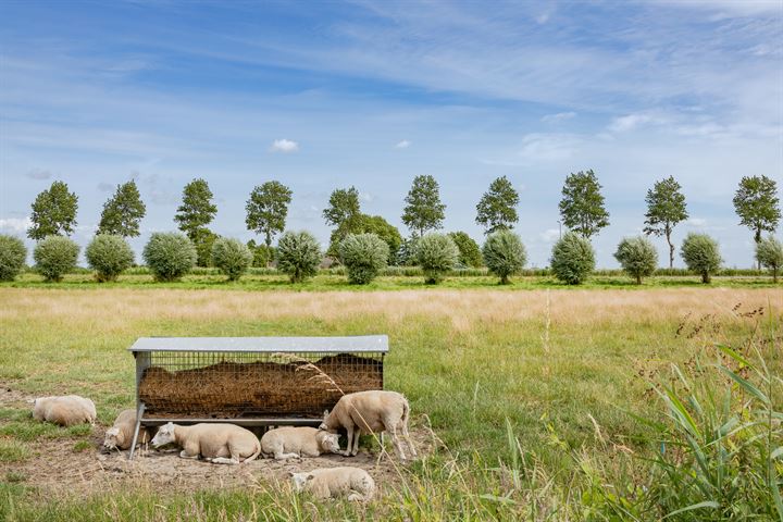 Bekijk foto 38 van Hoogegeest 51