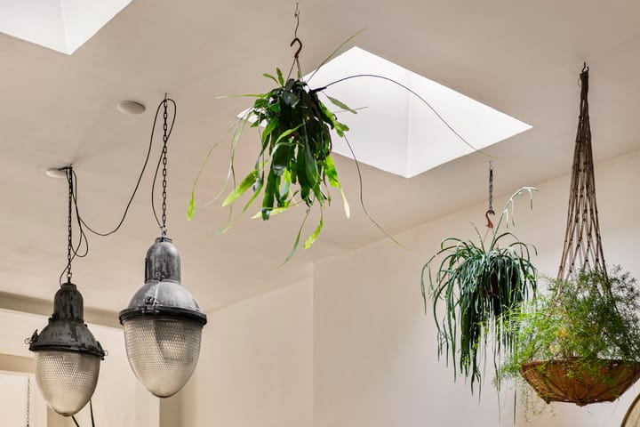 Foto 15 van Sint Andriesstraat 10