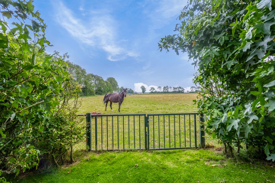 Photo 58 of Ambachtsdijk 61