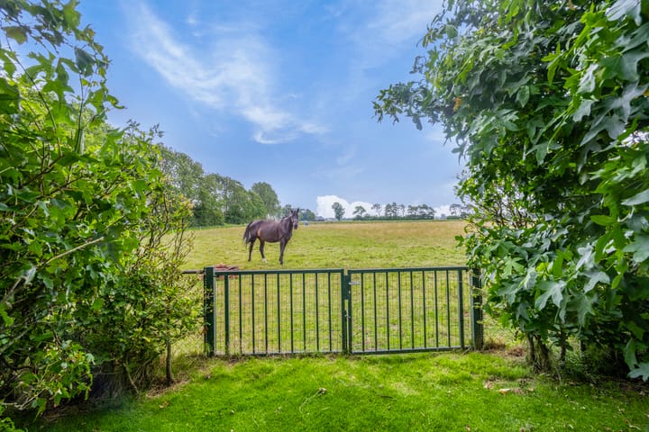 Photo 58 of Ambachtsdijk 61