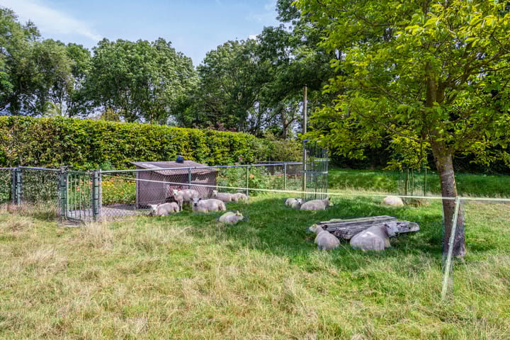 Photo 66 of Ambachtsdijk 61