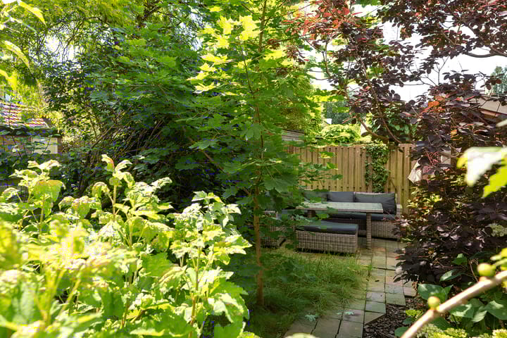 Foto 3 van Chrysantenstraat 35