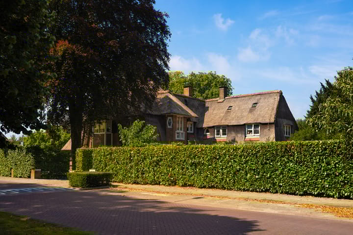 Foto 58 van Arnhemsestraat 56