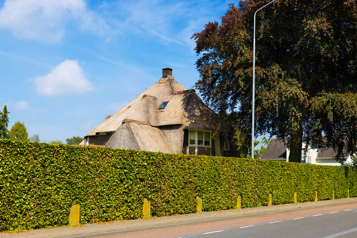 Bekijk foto 59 van Arnhemsestraat 56