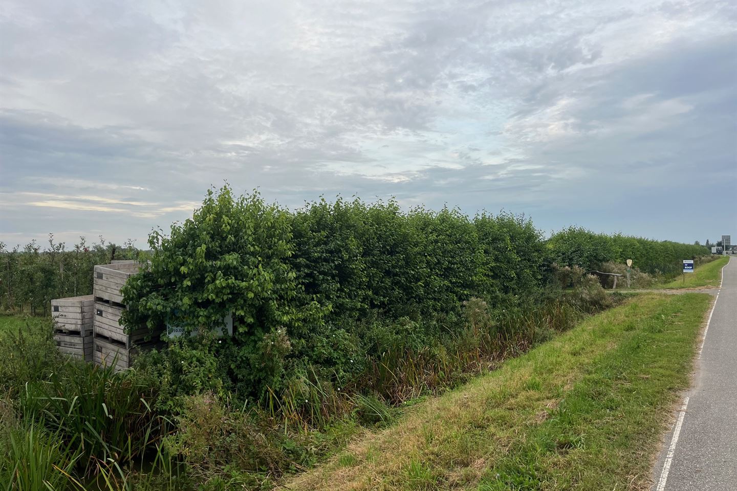 Bekijk foto 1 van Van Heemstraweg