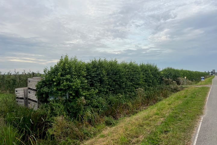 Van Heemstraweg, Dreumel