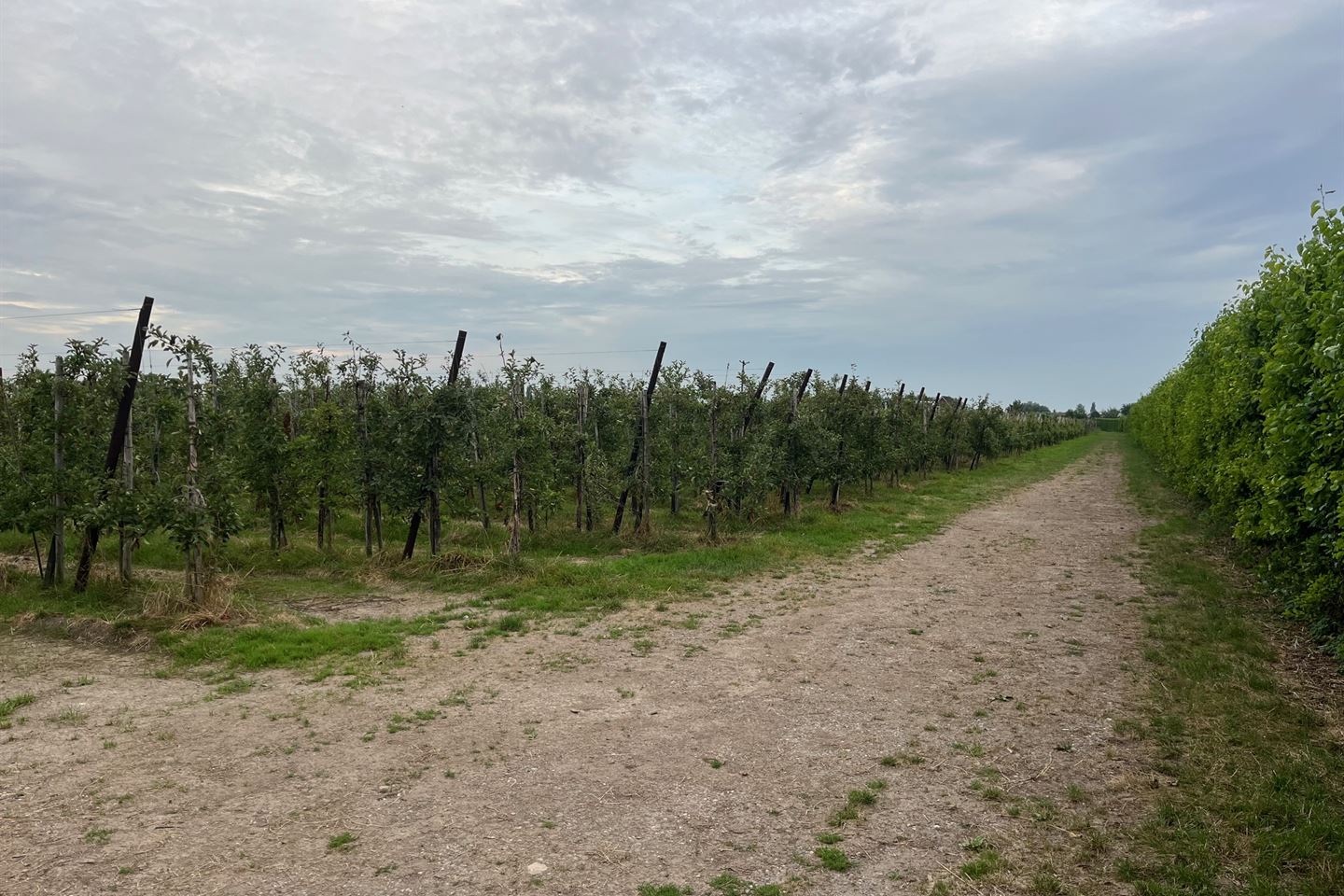 Bekijk foto 2 van Van Heemstraweg