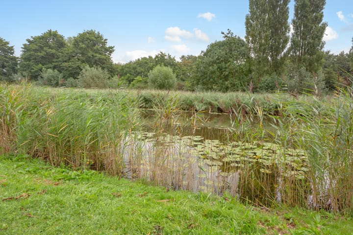 Foto 47 van Caro van Eycksingel 27