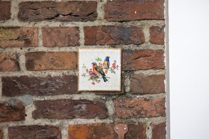 Foto 64 van Graaf van Solmsweg 59