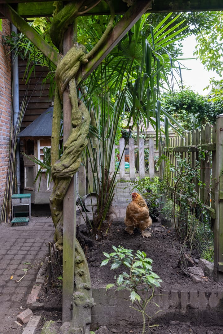 Foto 65 van Graaf van Solmsweg 59