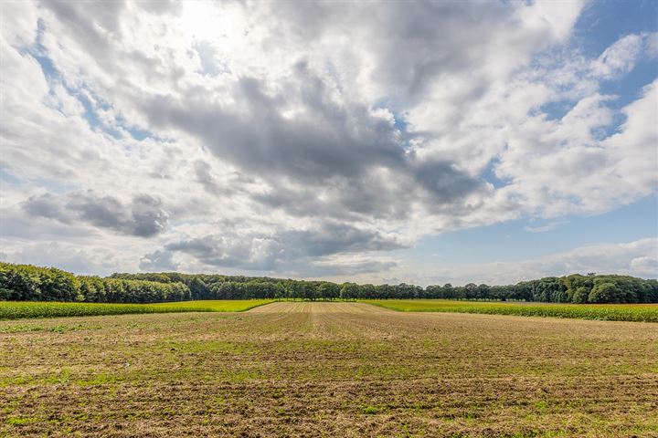 Bekijk foto 45 van Bloylantweg 1