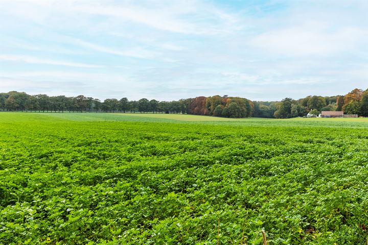 Bekijk foto 48 van Bloylantweg 1