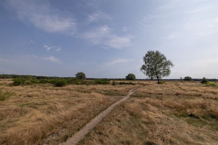 Bekijk foto 15 van Anthonie Fokkerstraat 90