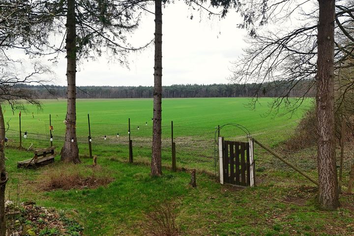 Bekijk foto 6 van Rijksstraatweg 4-B