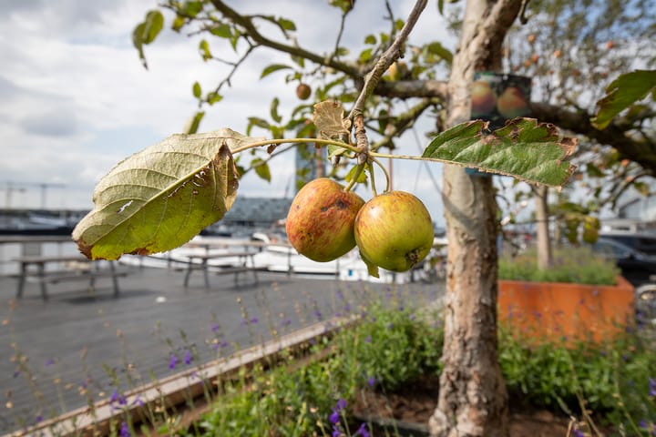 Foto 32 van Silodam 165