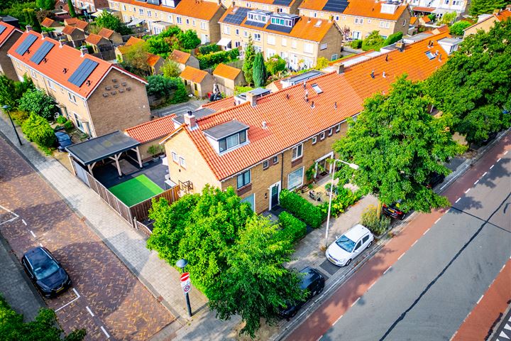 Bekijk foto 3 van Wilhelminaplantsoen 29