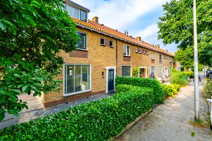 Foto 46 van Wilhelminaplantsoen 29