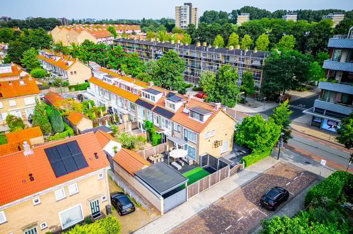 Foto 50 van Wilhelminaplantsoen 29